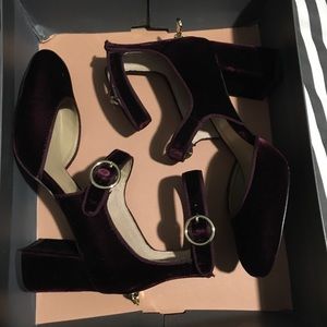 Ann Taylor Velvet pump